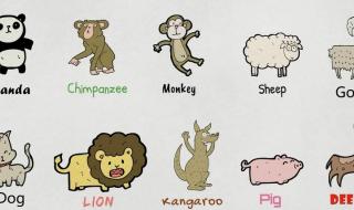 动物英语怎么读 动物英语怎么说